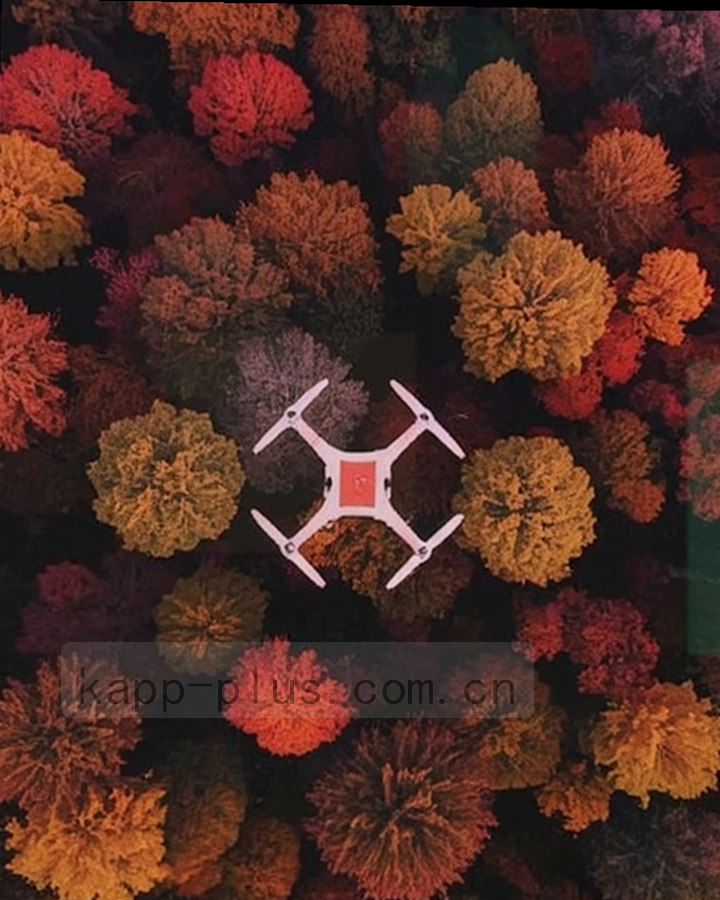 手机竖屏显示轮次战报与比分的近景特写，画面中无人物面部